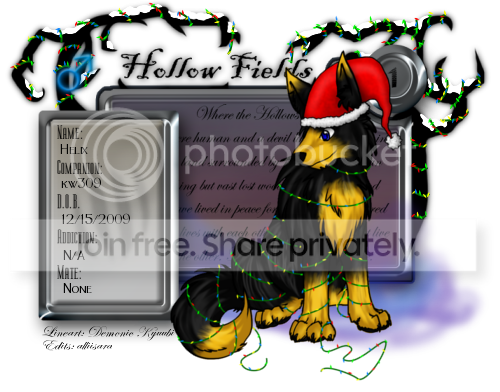 User Image